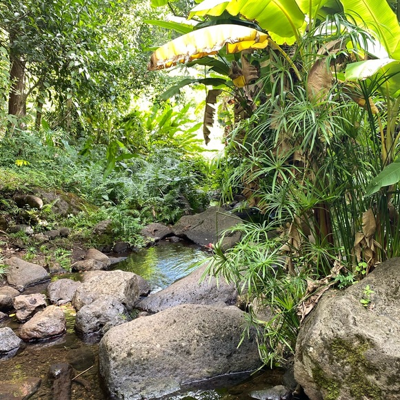 Meet your Posher, AL - Picture 1 of 5